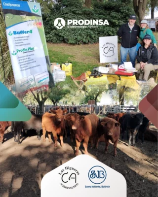Jornada de Remate