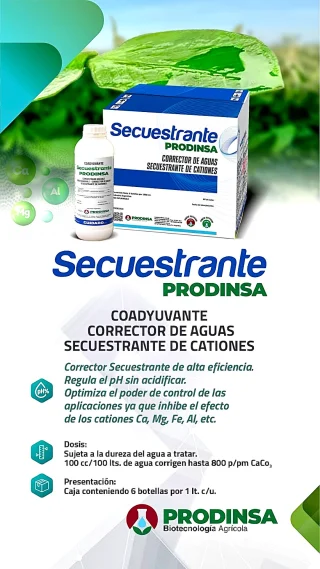 Entrega de semillas