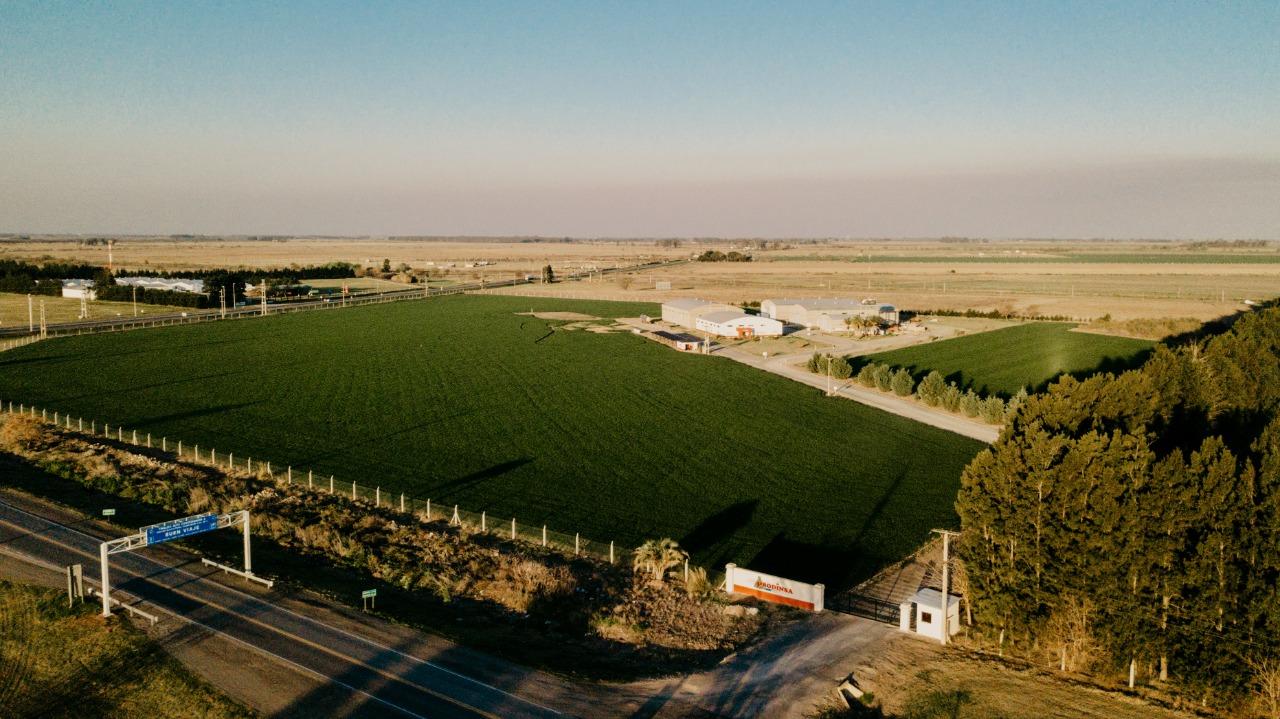 Planta industrial Prodinsa – Piñero, Santa Fe